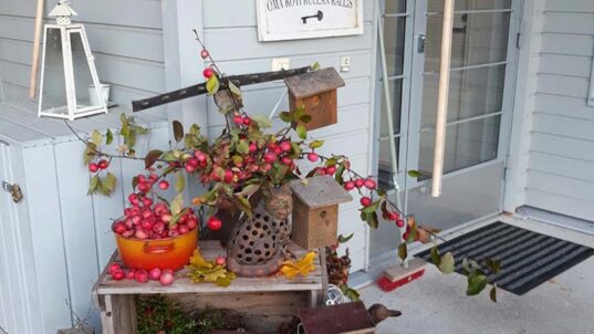 Syyskoristeita oven edessä.