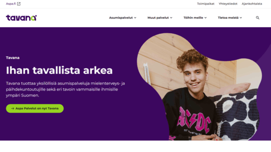 Kuvakaappaus tavana.fi-etusivusta.