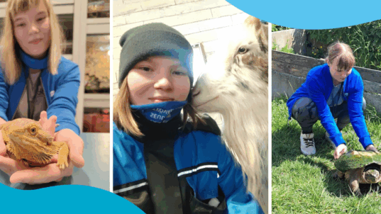 Ramona erilaisten eläinten parissa.